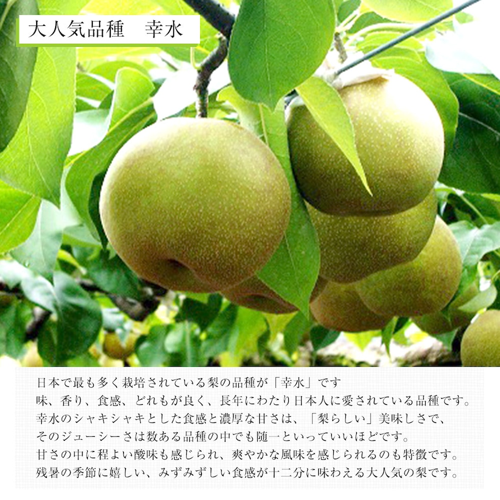 品種