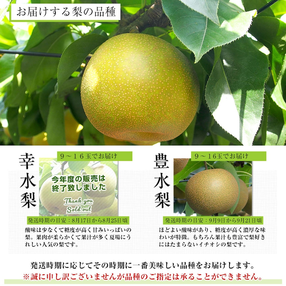 品種お任せリスト