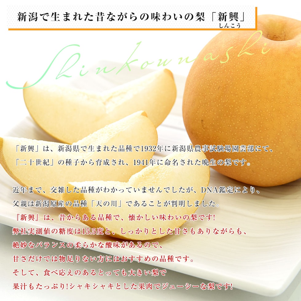 新興説明