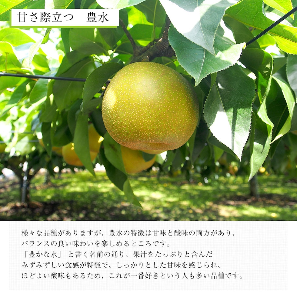 品種