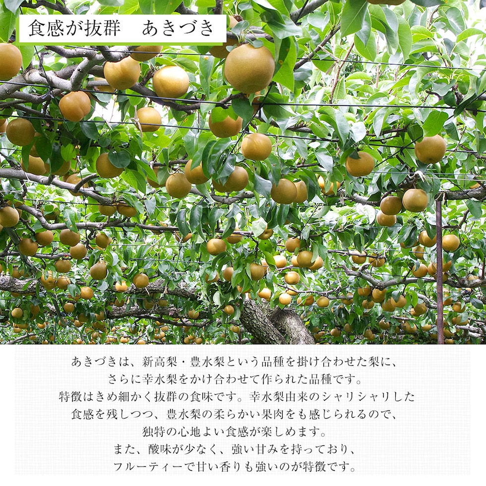 品種