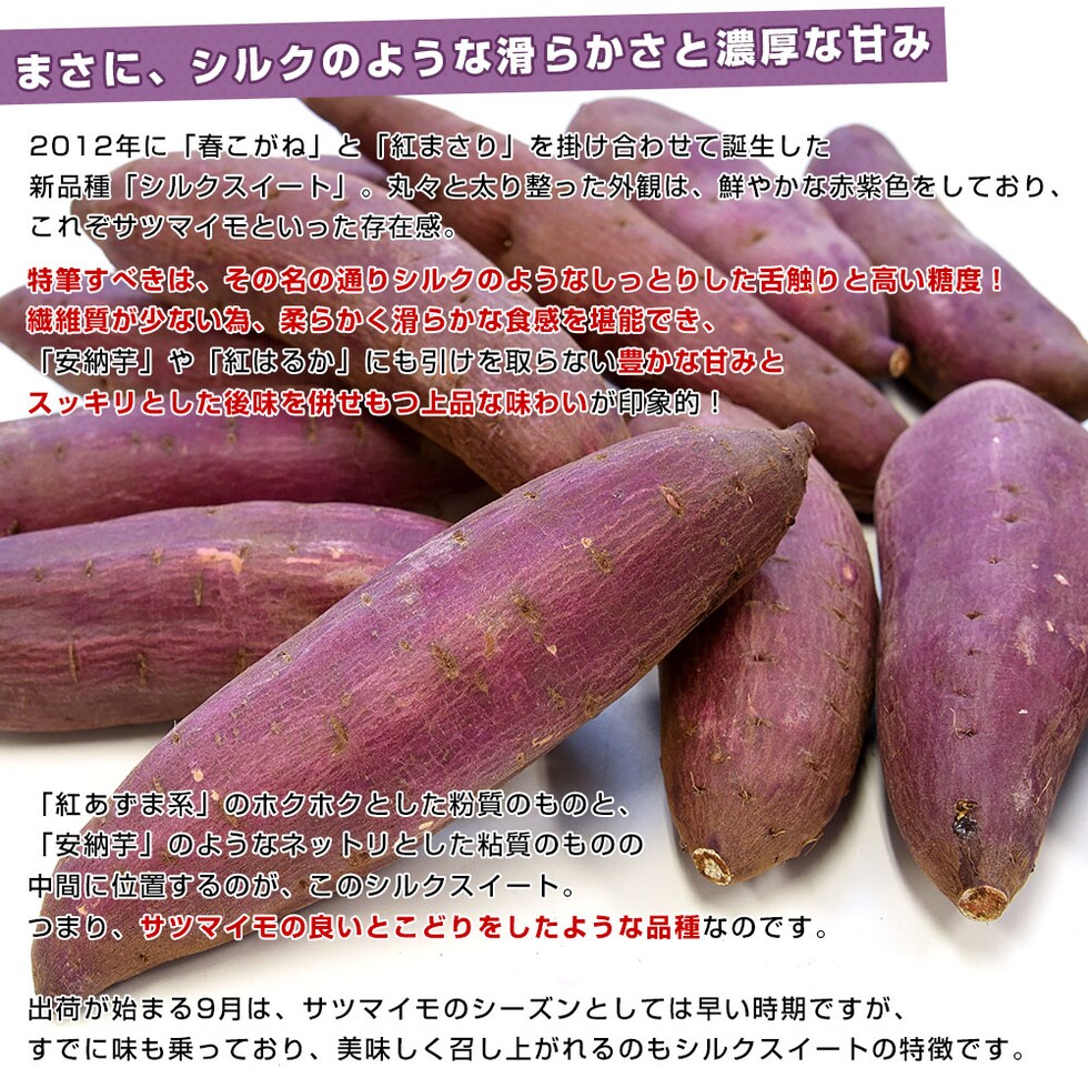産地直送　鹿児島県産　新芋　紅まさり　箱込　約10キロ サイズS〜Lクラス