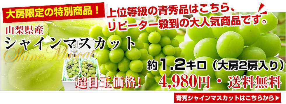 ふえふきシャインへ