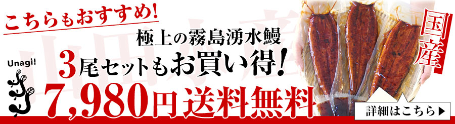 3尾へのリンク