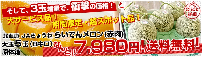 SPらいでんメロン赤肉5玉