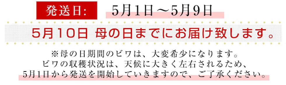 2026母の日発送