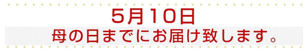 母の日までにお届け