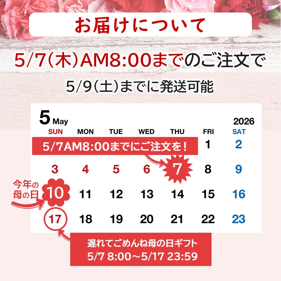 母の日ほほえみ