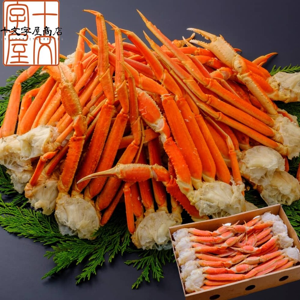 ボイルズワイセクション