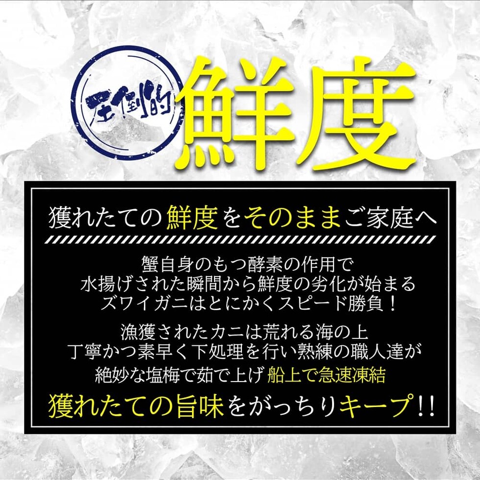 ボイルズワイセクション