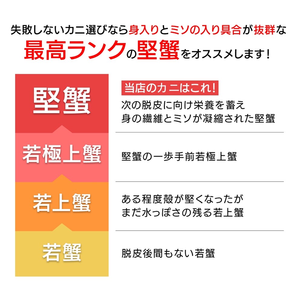ボイルズワイセクション