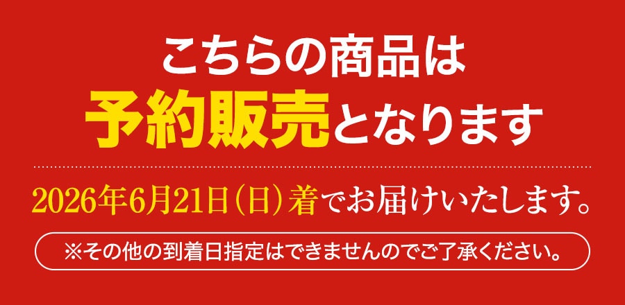 父の日ギフトC