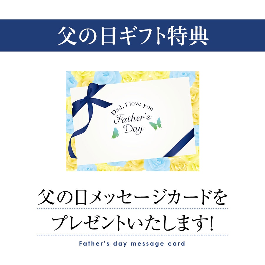 父の日ギフトC