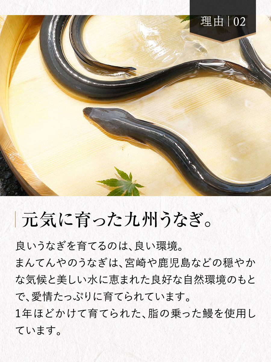 手焼き炭火うなぎ蒲焼2尾 福さ屋 辛子明太子