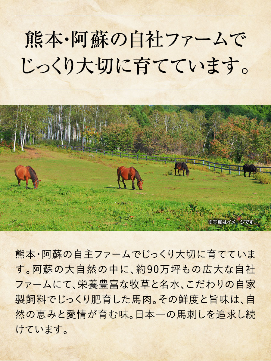 熊本馬刺し厳選3種セット