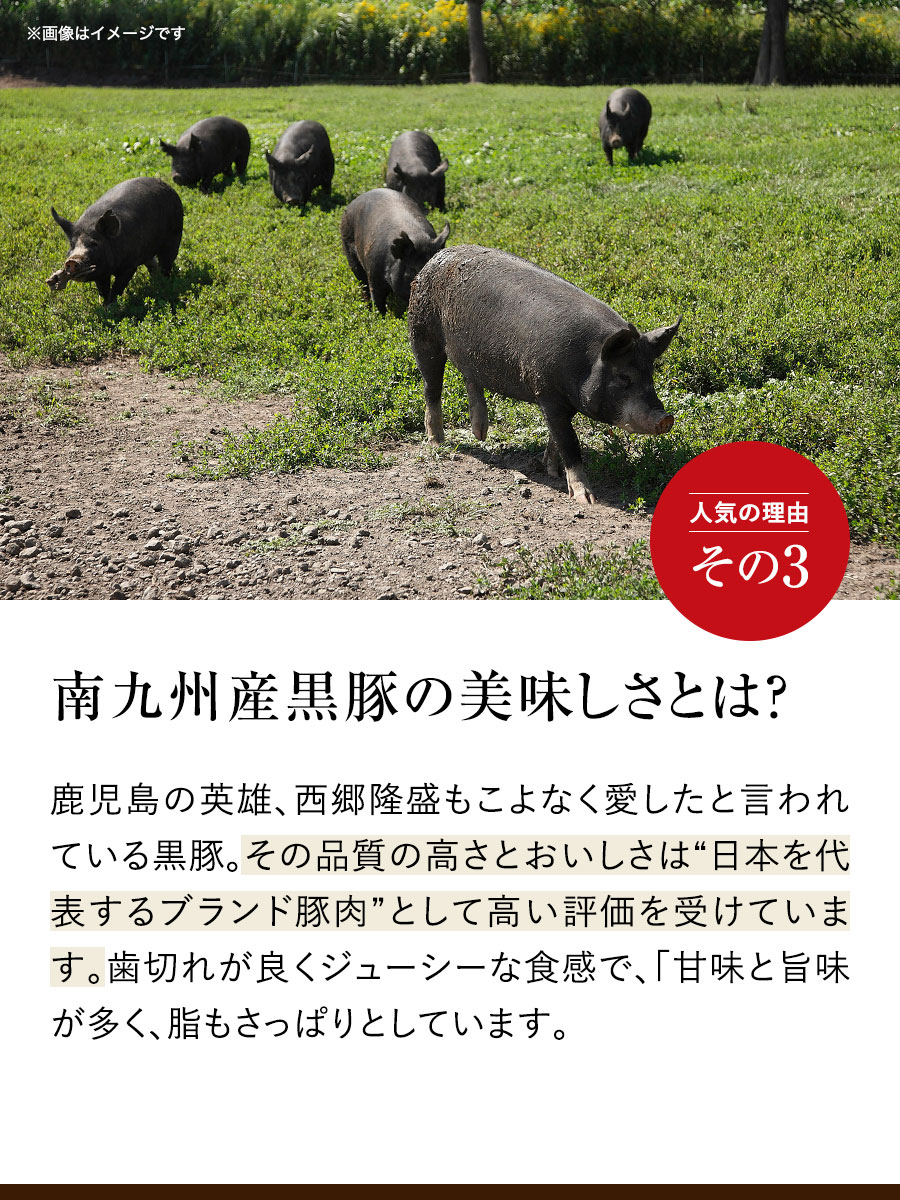 黒豚ロールステーキ 100g×6袋