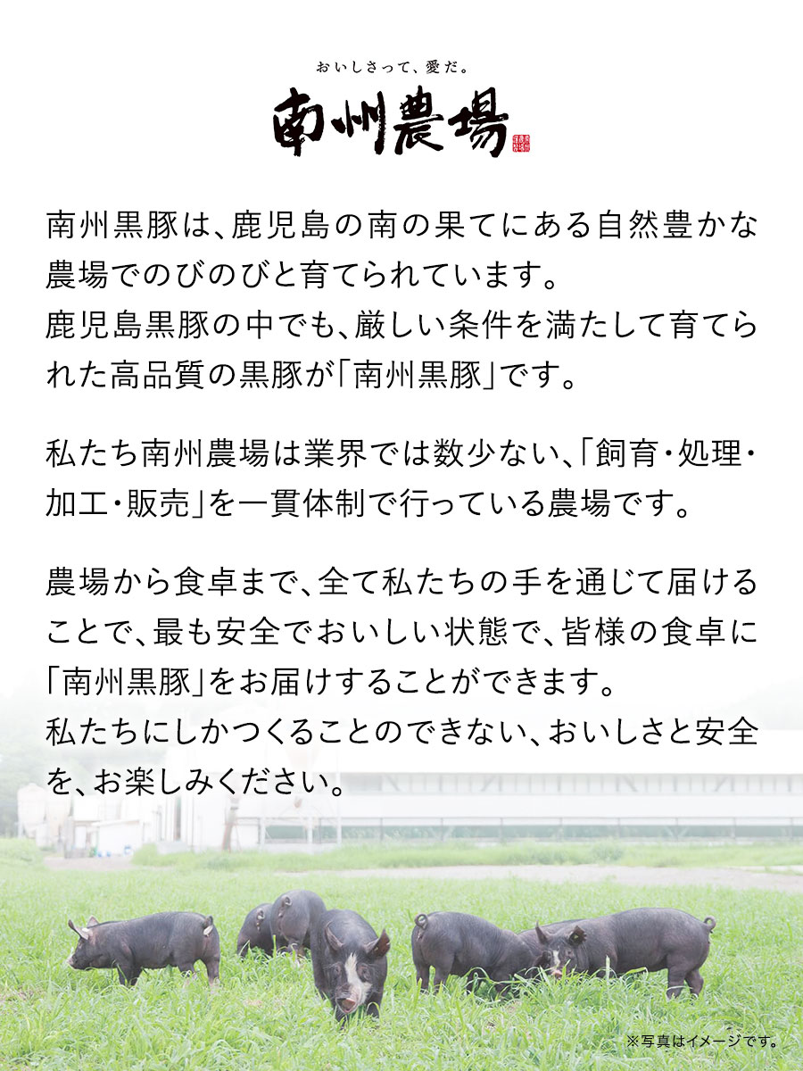 鹿児島黒豚バラエティ詰合せ 福さ屋 辛子明太子