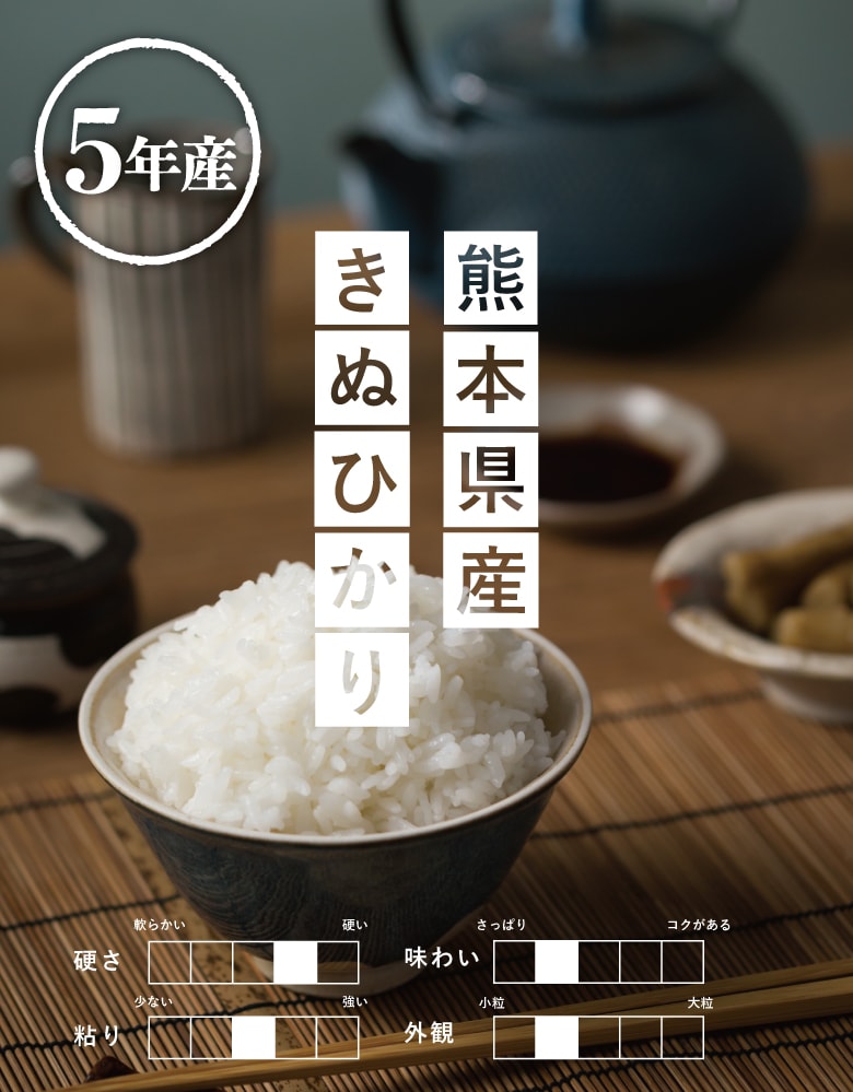 dショッピング |米 キヌヒカリ 白米 5kg 熊本県産 令和5年産 きぬ