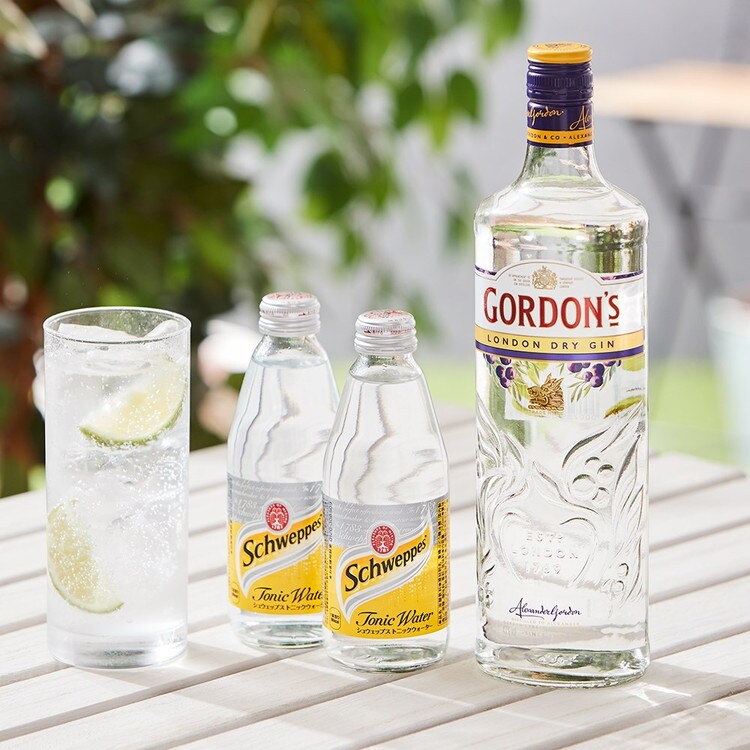 No.3 ロンドンドライジン　700ml 2本セット No.3 ロンドンドライジン 700ml 2本 武蔵屋通販 | ナンバー3