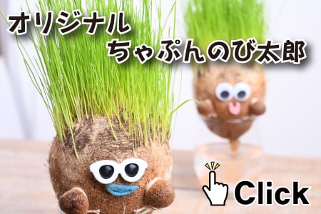 ちゃっぷんのび太郎