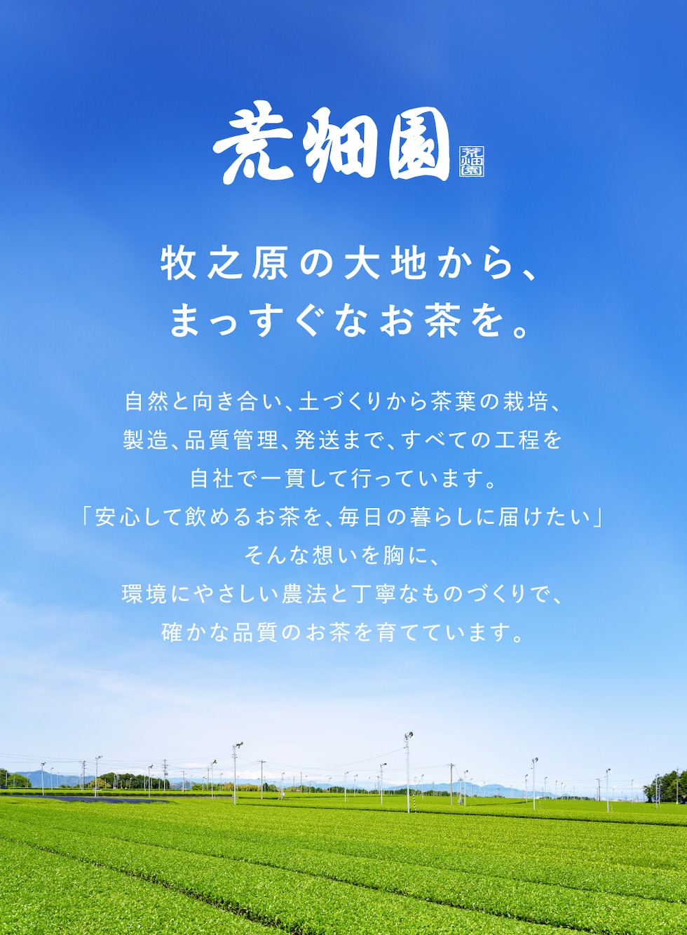 通常