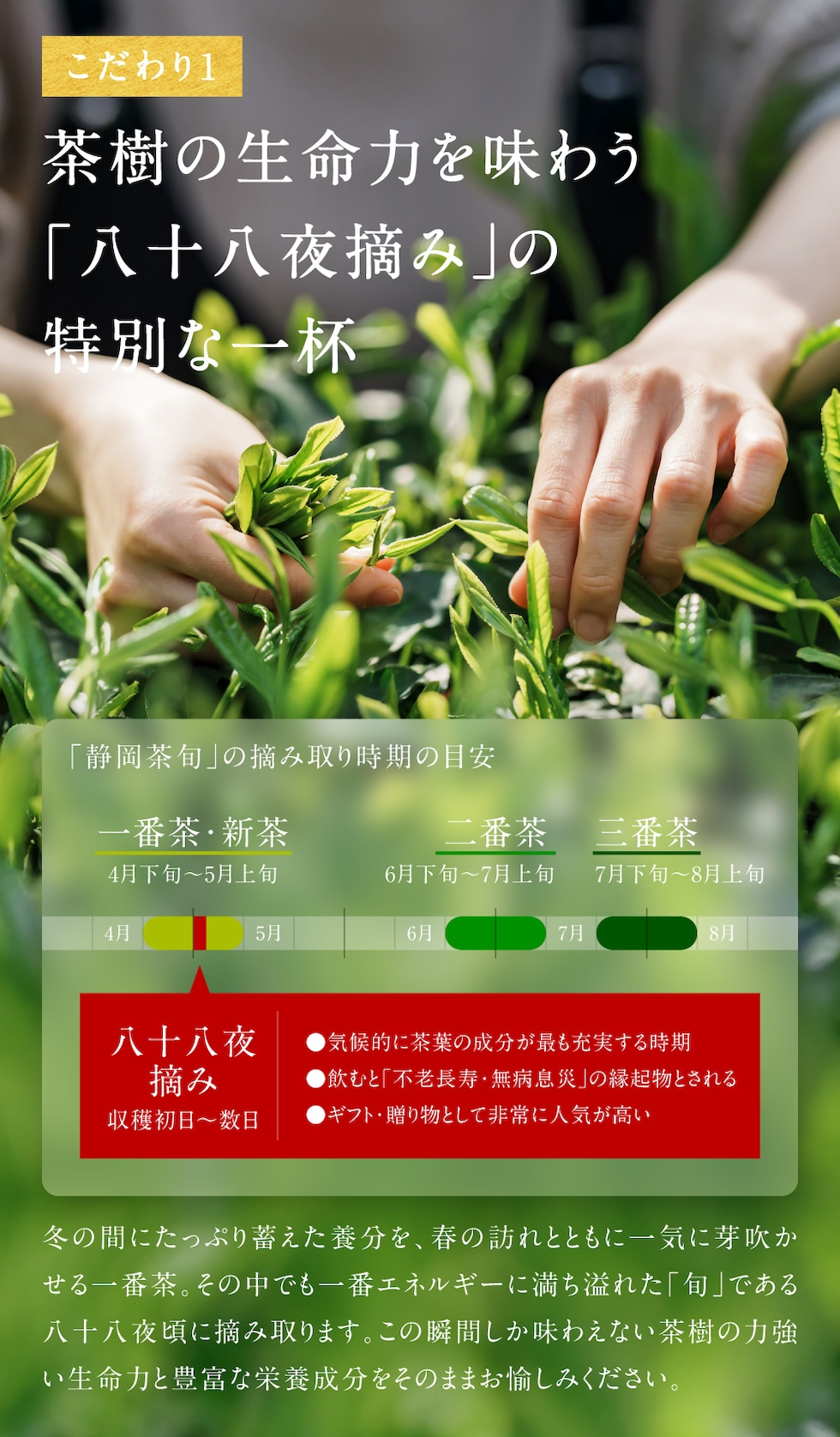 通常