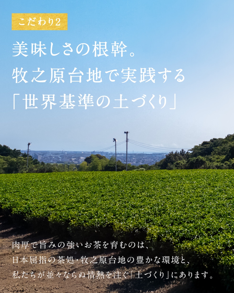 通常