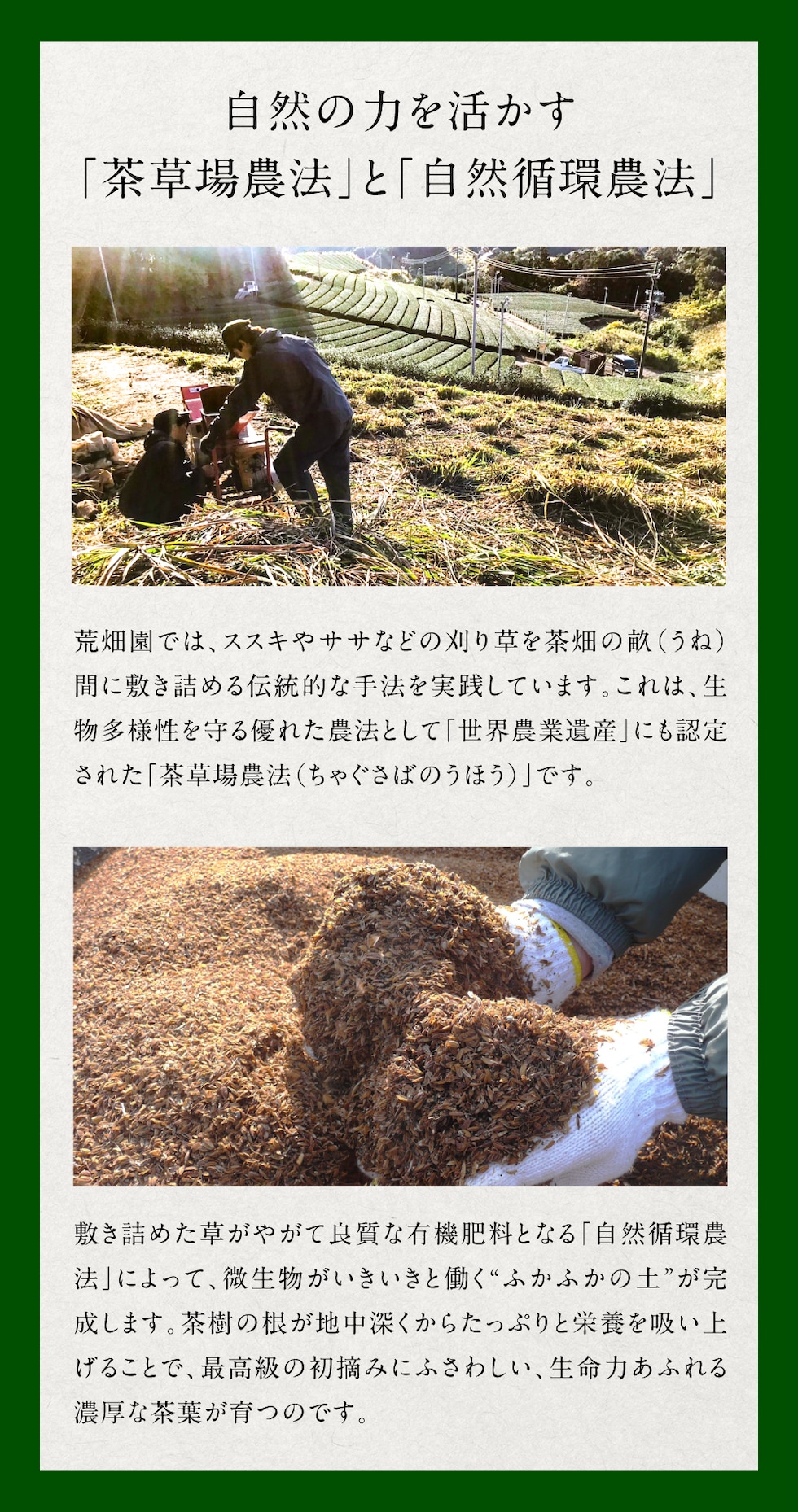 通常
