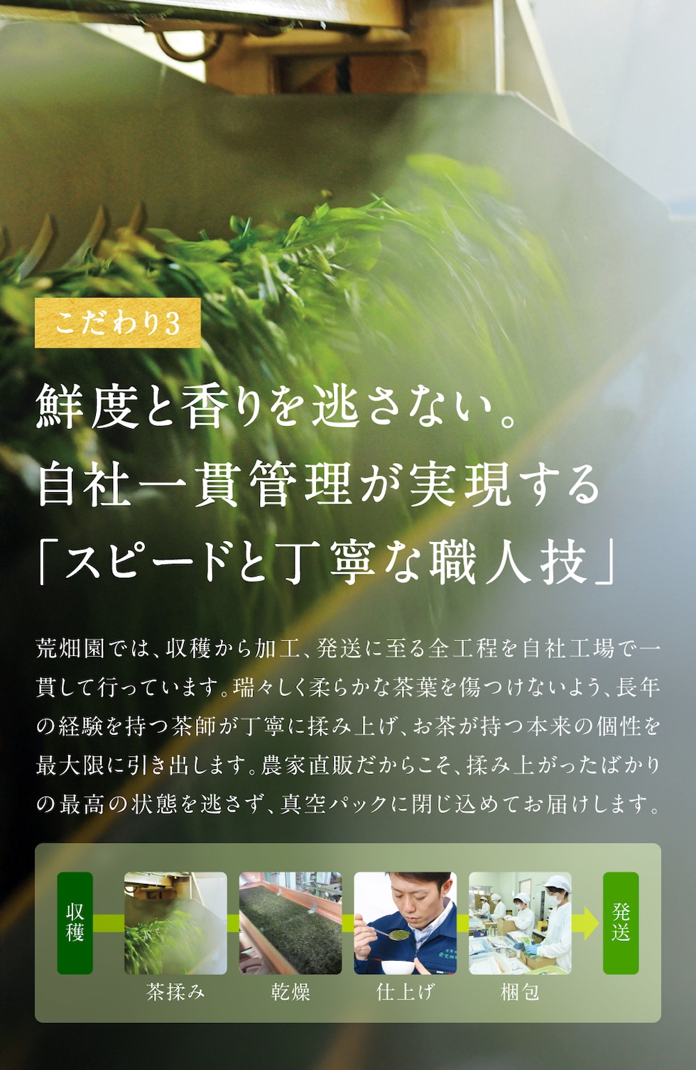 通常