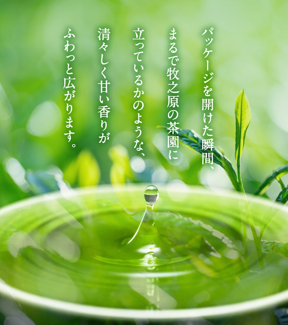 通常