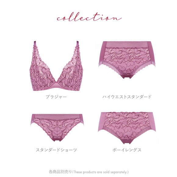 トリンプ TR582 天使のブラ スリムライン ショーツ ボーイズレングス ヒップハング ヘム Triumph