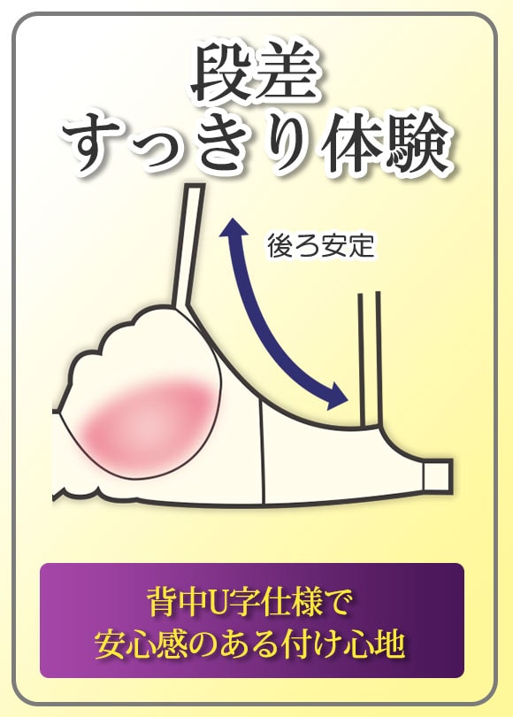 段差すっきり体験 ブラジャー ABCD 脇高 脇肉 アンダー大きいサイズ 単品