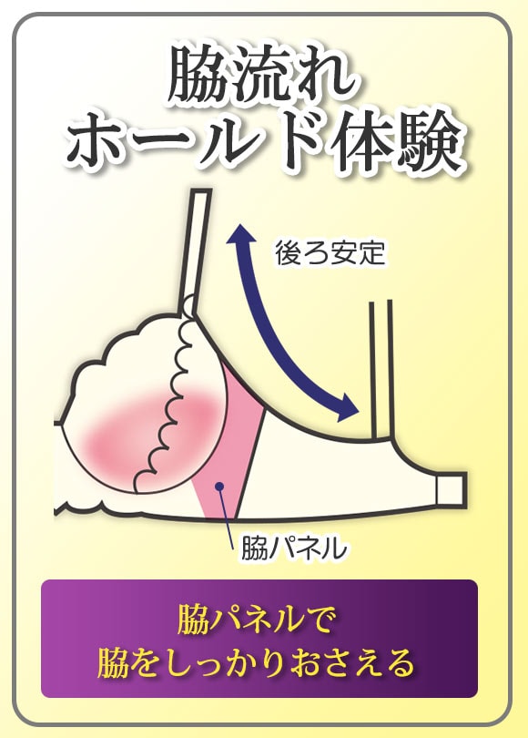 脇流れホールド体験 ブラジャー ショーツ セット ABCD 脇高 脇肉 アンダー大きいサイズ