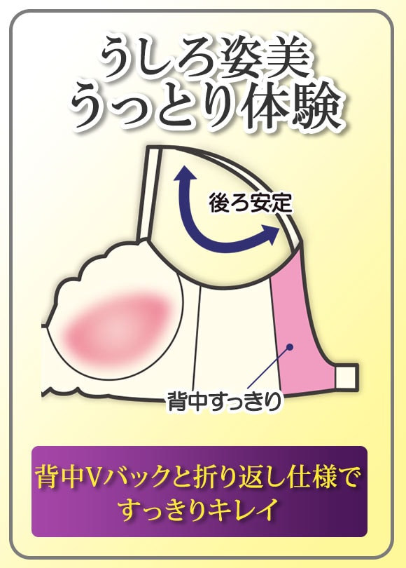 うしろ姿美 うっとり体験 すっきり美背中 ブラジャー ショーツ セット ABCD 脇高 脇肉 アンダー大きいサイズ グラマー 谷間 着やせ アンチエイジング
