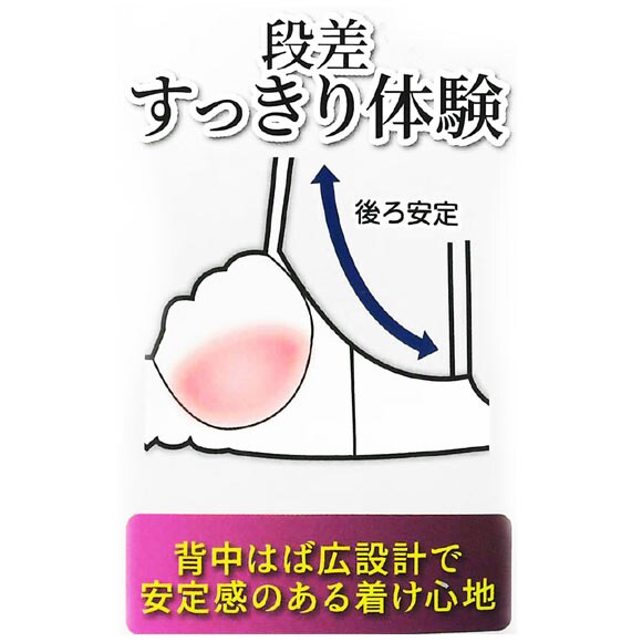 段差すっきり体験 エレガンスピオニー グラマーブラセット DEF70-90 アンダー大きいサイズ ブラジャー ショーツ セット
