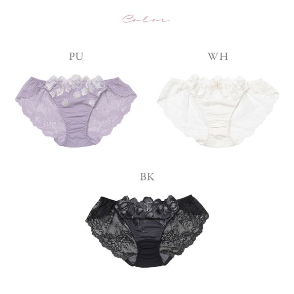 ナルエー ランジェリー オーロラ ショーツ スタンダード 総レース バックレース NARUE