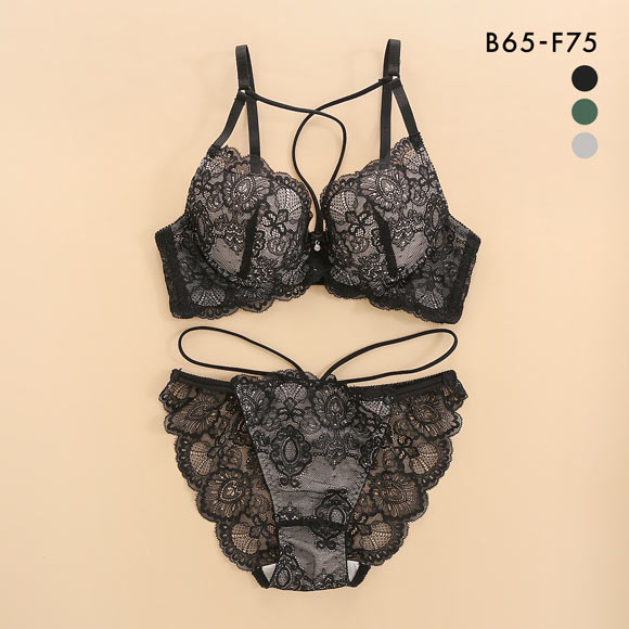 オールレース ヌーディーコード ブラジャー ショーツ セット BCDEF 大きいサイズ バックレース 総レース