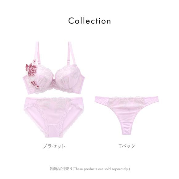 ビーオーエヌ 美胸 脇寄せ バストメイクブラ クラシカルローズ シリーズ ブラジャー ショーツ セット BCDEF 大きいサイズ bon