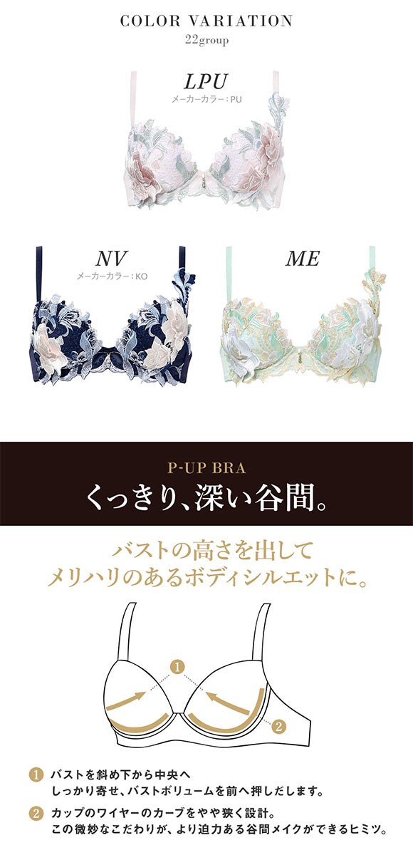 ワコール サルート 22グループ 22G P-UP ブラジャー DEF プッシュアップ 谷間 Wacoal Salute BTJ422 25AW先行プレステージ