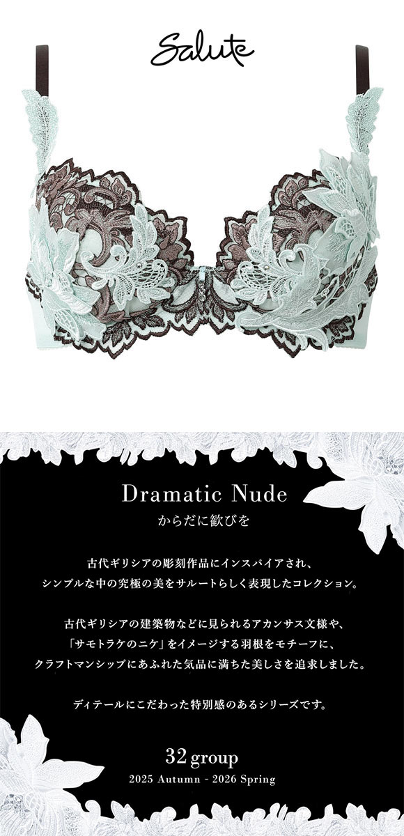 ワコール サルート 32グループ 32G P-UP ブラジャー C プッシュアップ Wacoal Salute BTJ432 26SS先行プレステージ