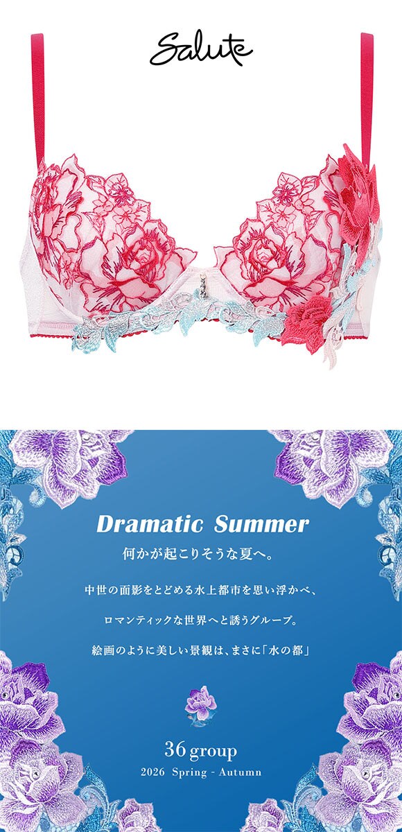 ワコール サルート 36グループ 36G P-UP ブラジャー プッシュアップ BC 谷間 Wacoal Salute BTJ436 26SSシーズン