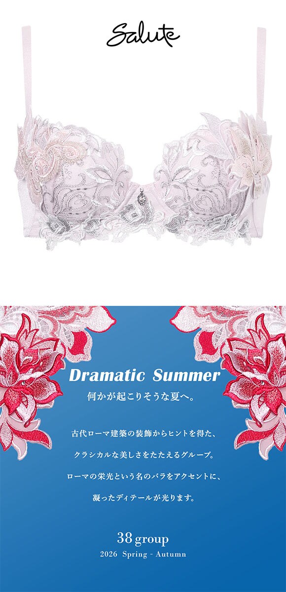 ワコール サルート 38グループ 38G P-UP ブラジャー プッシュアップ GHI 谷間 大きいサイズ Wacoal Salute BTJ438 26SSブライト