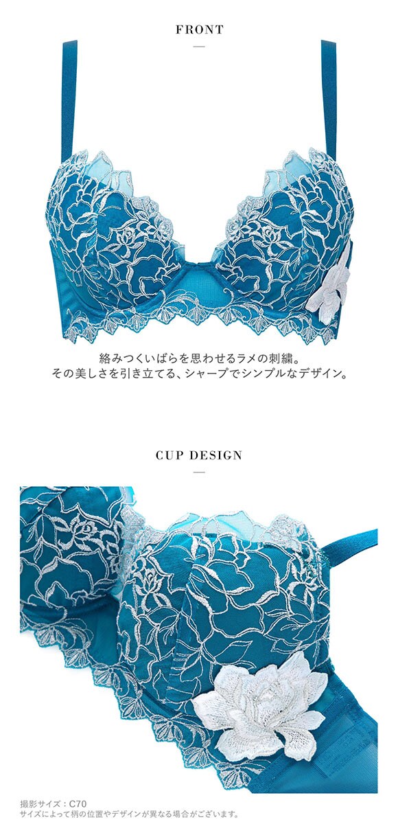 ワコール サルート 17グループ 17G ブラジャー DEF リアルアップブラ 谷間 脇高 Wacoal Salute BTJ717 Real Up Bra 25SSブルーム