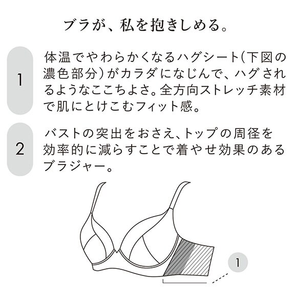 ワコール ハグするブラ コンパクトメイク BXB378 BXB478 フルカップ ブラジャー GH 大きいサイズ グラマー Wacoal