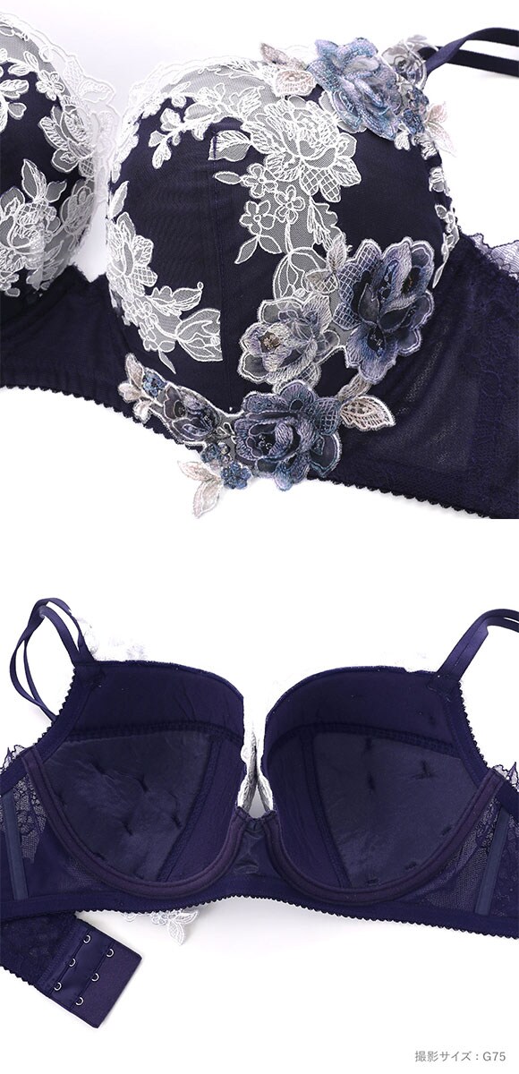 ワコール パーソナルフィットプラスブラ プレミアム 22series BXD422 22G 3/4カップブラジャー GHI Wacoal 大きいサイズ