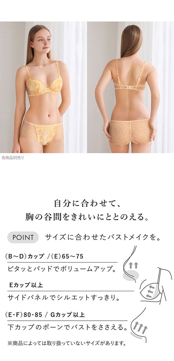 ワコール パーソナルフィットプラスブラ プレミアム 25series BXD425 25G ブラジャー BC Wacoal