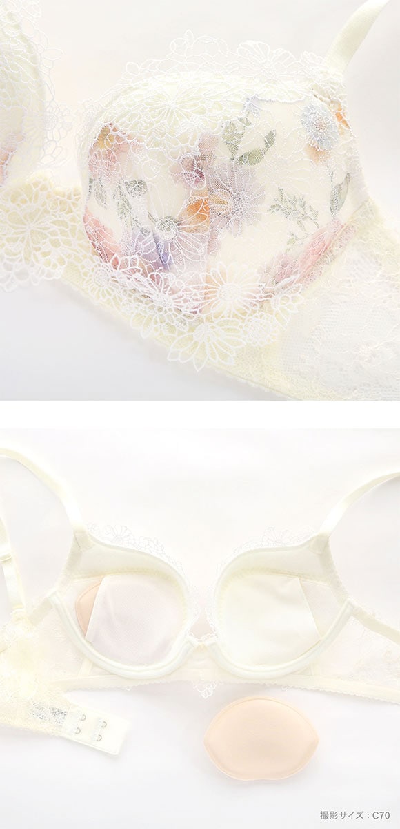 ワコール パーソナルフィットプラスブラ プレミアム 25series BXD425 25G ブラジャー BC Wacoal