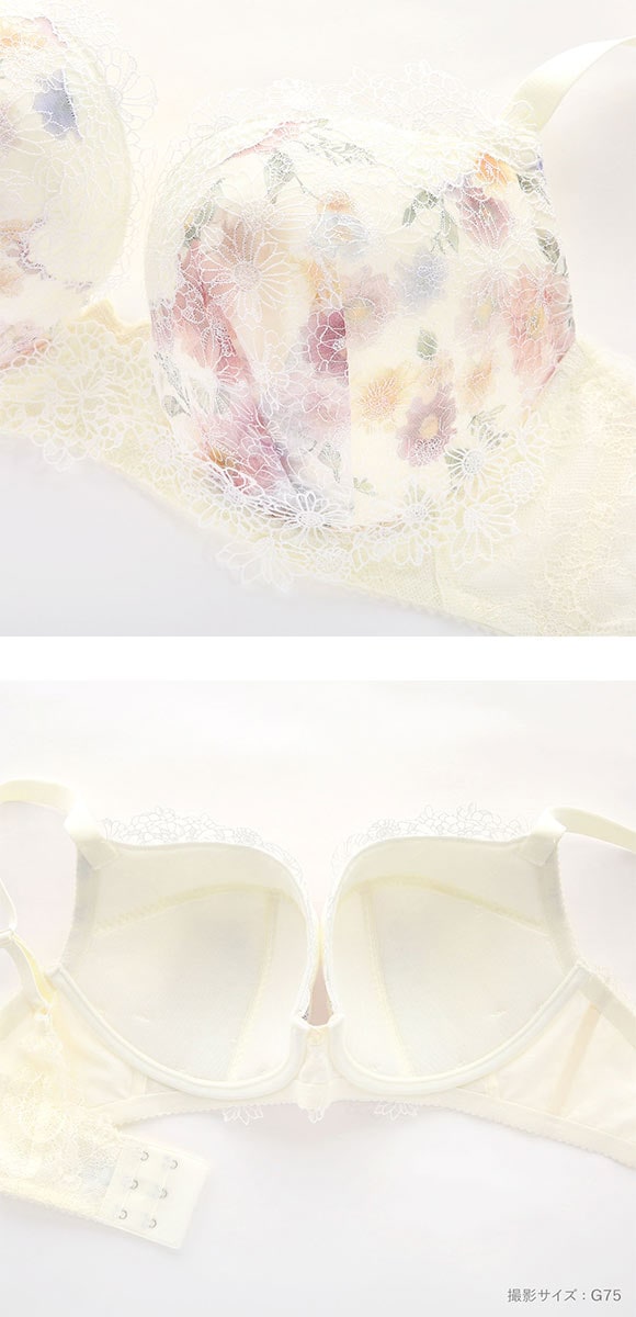 ワコール パーソナルフィットプラスブラ プレミアム 25series BXD425 25G ブラジャー GHI グラマー 大きいサイズ Wacoal