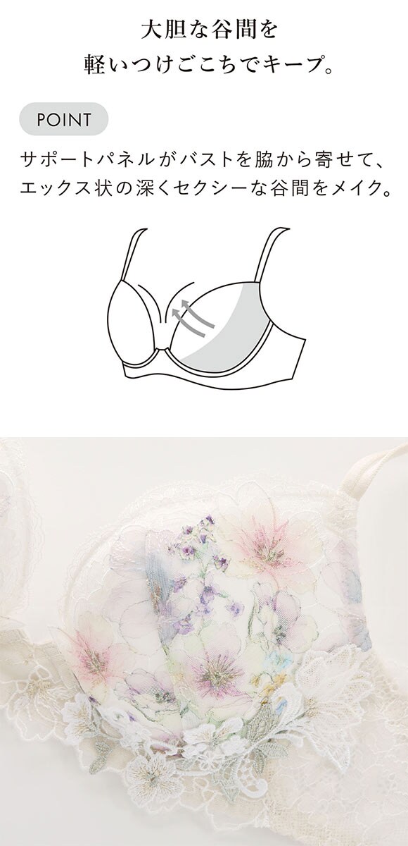 ワコール フロントエックスプラスブラ プレミアム 17series BXD717 17G 3/4カップブラジャー BC Wacoal