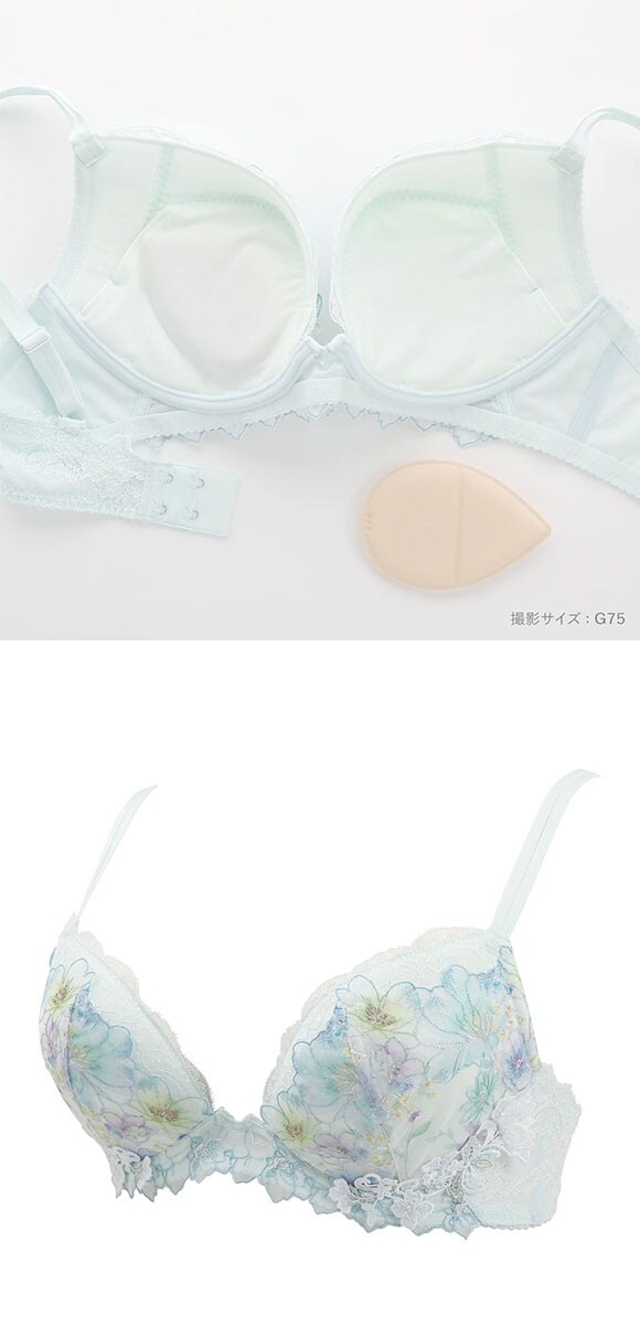 ワコール フロントエックスプラスブラ プレミアム 17series BXD717 17G 3/4カップブラジャー G Wacoal